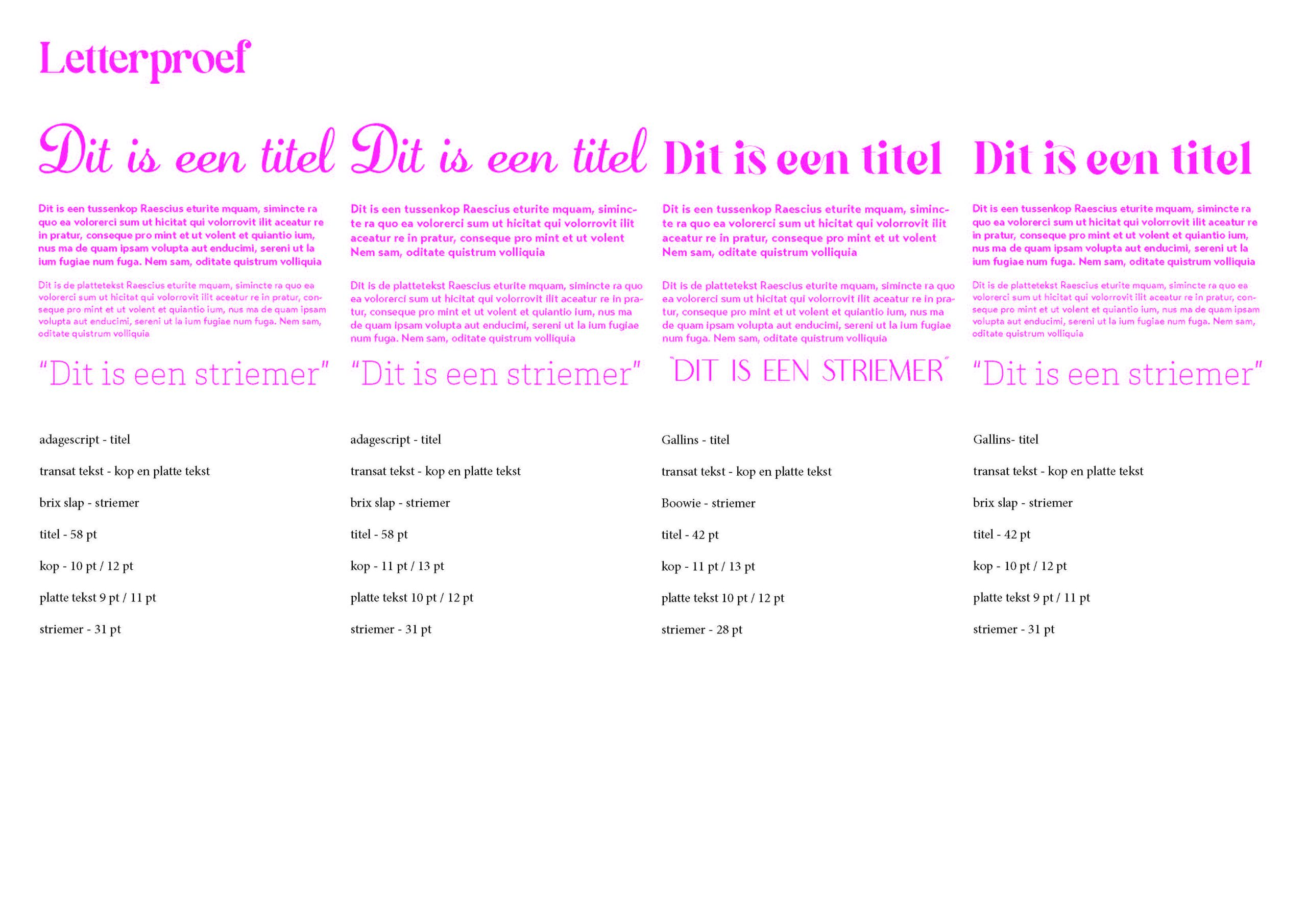 Onderzoeken letterproef - Donna Leloux_Pagina_2
