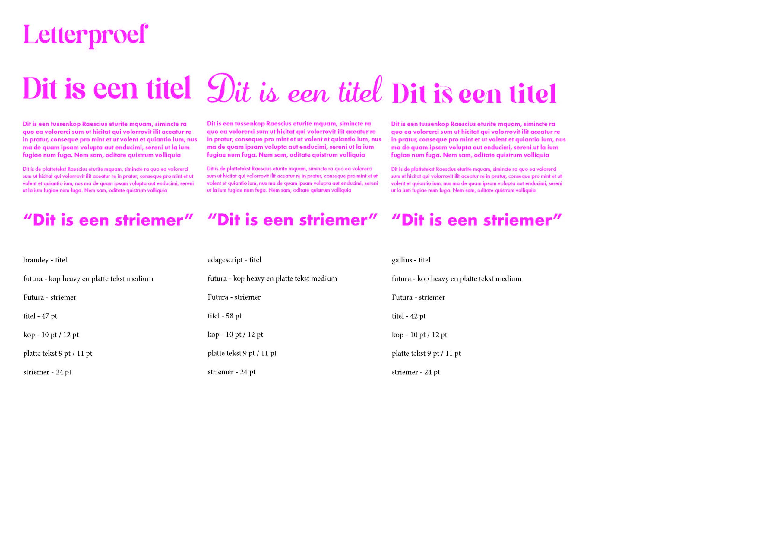 Onderzoeken letterproef - Donna Leloux_Pagina_3
